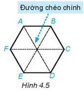 Toán 6 Bài 18: Hình tam giác đều. Hình vuông. Hình lục giác đều