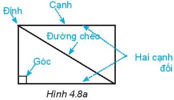 Toán 6 Bài 19: Hình chữ nhật. Hình thoi. Hình bình hành. Hình thang cân