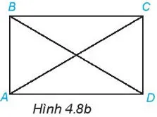 Toán 6 Bài 19: Hình chữ nhật. Hình thoi. Hình bình hành. Hình thang cân