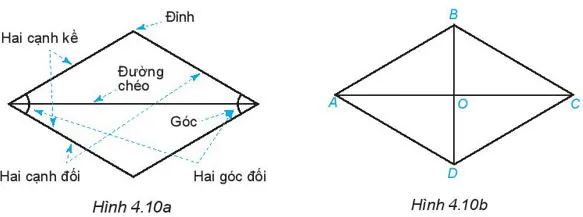 Toán 6 Bài 19: Hình chữ nhật. Hình thoi. Hình bình hành. Hình thang cân