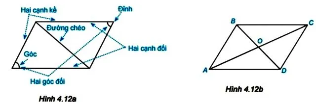 Toán 6 Bài 19: Hình chữ nhật. Hình thoi. Hình bình hành. Hình thang cân