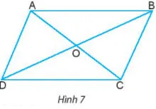 Toán 6 Bài 2: Hình chữ nhật, Hình thoi, Hình bình hành, Hình thang cân