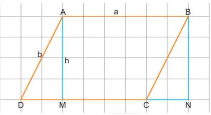 Toán 6 Bài 3: Chu vi và diện tích của một số hình trong thực tiễn