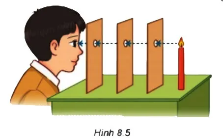 Toán 6 Bài 32: Điểm và đường thẳng