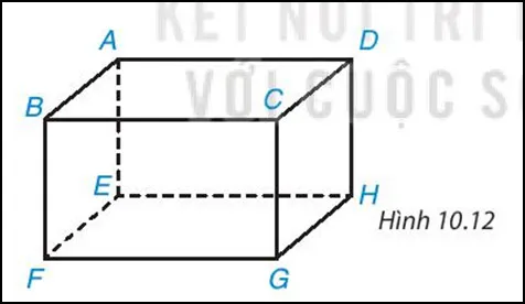 Toán 7 Bài 36: Hình hộp chữ nhật và hình lập phương