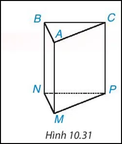 Toán 7 Bài 37: Hình lăng trụ đứng tam giác và hình lăng trụ đứng tứ giác