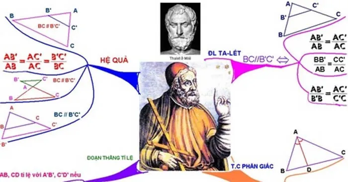 Toán 8 Bài 2: Ứng dụng của định lí Thalès trong tam giác