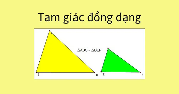 Toán 8 Bài 5: Tam giác đồng dạng