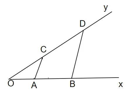 Toán 8 Bài tập cuối chương IV