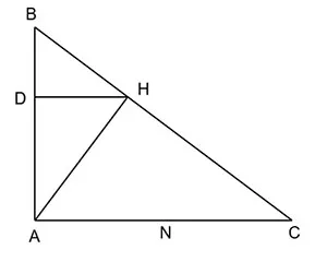 Toán 8 Bài tập cuối chương IX