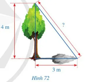 Toán 8 Bài tập cuối chương V