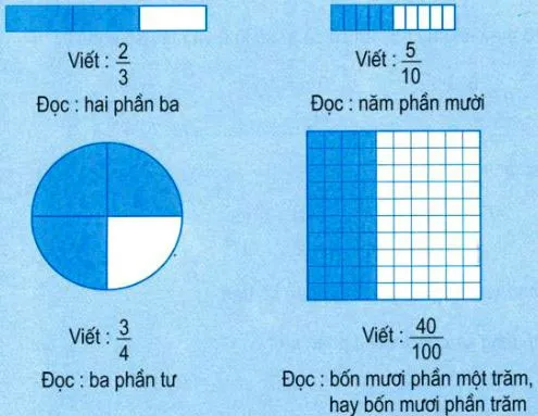 Toán lớp 5: Ôn tập Khái niệm về phân số trang 3