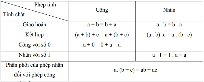 Tổng hợp kiến thức cơ bản môn Toán lớp 6