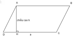 Tổng hợp kiến thức và các dạng bài tập hình học lớp 4