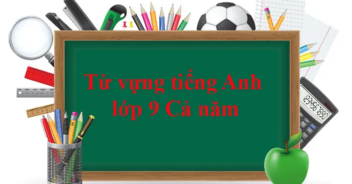 Tổng hợp từ vựng tiếng Anh lớp 9 (cả năm)