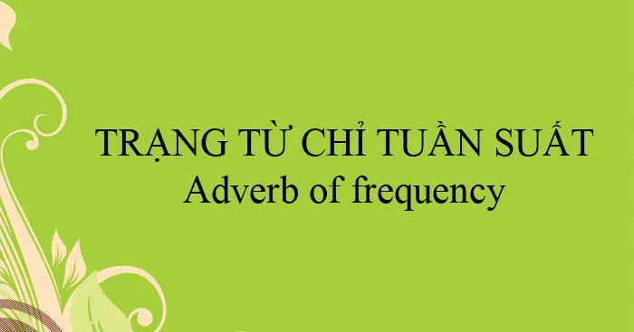 Trạng từ chỉ tần suất: Vị trí, cách sử dụng và bài tập (Có đáp án)