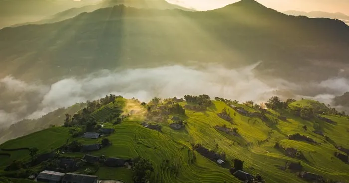 Văn mẫu lớp 10: Viết văn bản nghị luận phân tích, đánh giá một bài thơ (Dàn ý + 4 Mẫu)