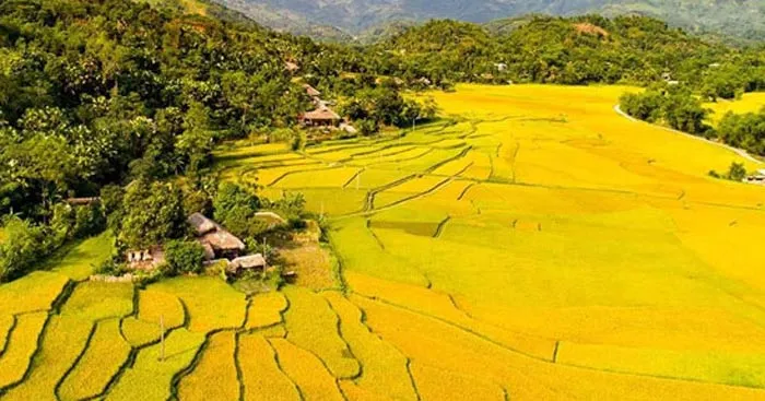 Văn mẫu lớp 11: Đoạn văn bày tỏ sự tâm đắc về một phương diện nổi bật của bài thơ Tràng Giang