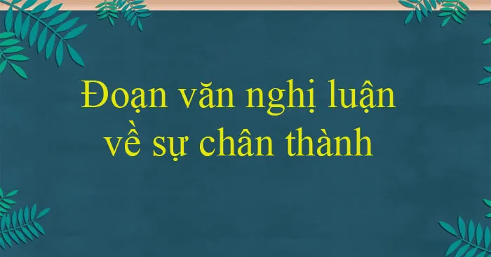 Văn mẫu lớp 12: Đoạn văn nghị luận về sự chân thành (3 Mẫu)