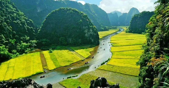 Văn mẫu lớp 12: Hình tượng đất nước trong hai bài thơ của Nguyễn Đình Thi và Nguyễn Khoa Điềm