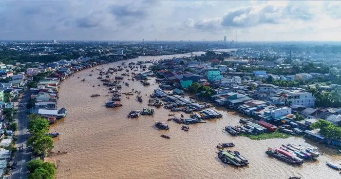 Văn mẫu lớp 6: Đoạn văn cảm nhận bài thơ Cửu Long Giang ta ơi (4 mẫu)