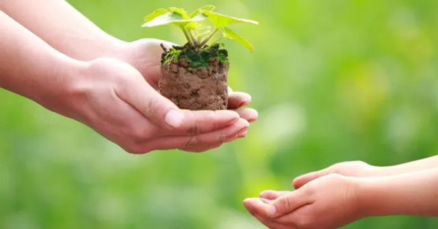 Văn mẫu lớp 9: Nghị luận xã hội về câu nói Cho đi là còn mãi