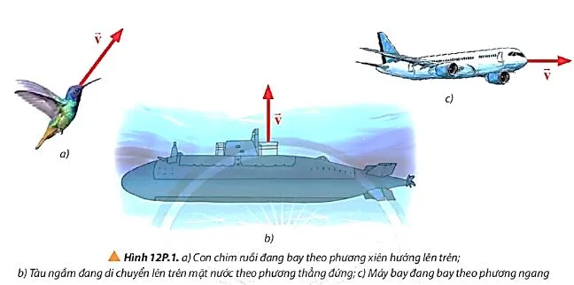 Vật lí 10 Bài 12: Chuyển động của vật trong chất lưu