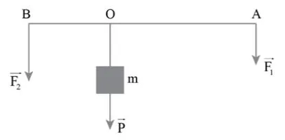 Vật lí 10 Bài 13: Tổng hợp lực – Phân tích lực