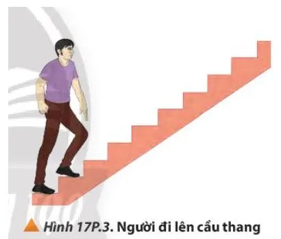 Vật lí 10 Bài 17: Động năng và thế năng. Định luật bảo toàn cơ năng