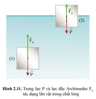 Vật lí 10 Bài 2: Một số lực thường gặp