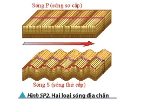 Vật lí 11 Bài 5: Sóng và sự truyền sóng