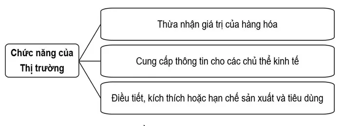 Vẽ sơ đồ tư duy về chức năng của thị trường