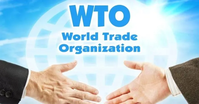 Viết đoạn văn tiếng Anh về tổ chức quốc tế WTO